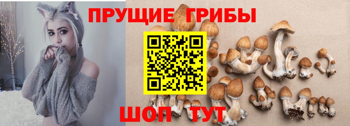 LSD-25  МЕТАМФЕТАМИН  Коммунар  Гашиш  КОКАИН  ГАШИШ  Вход с VPN  МАРИХУАНА  Мефедрон  